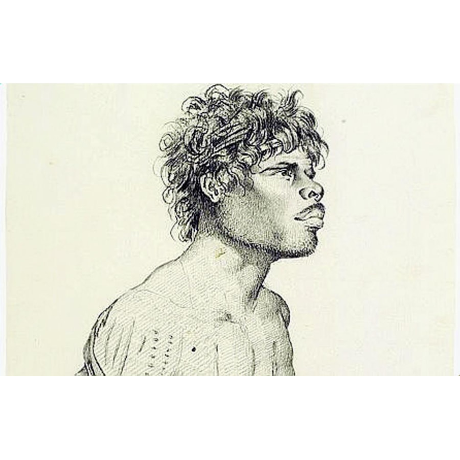 Charles-Alexandre Lesueur