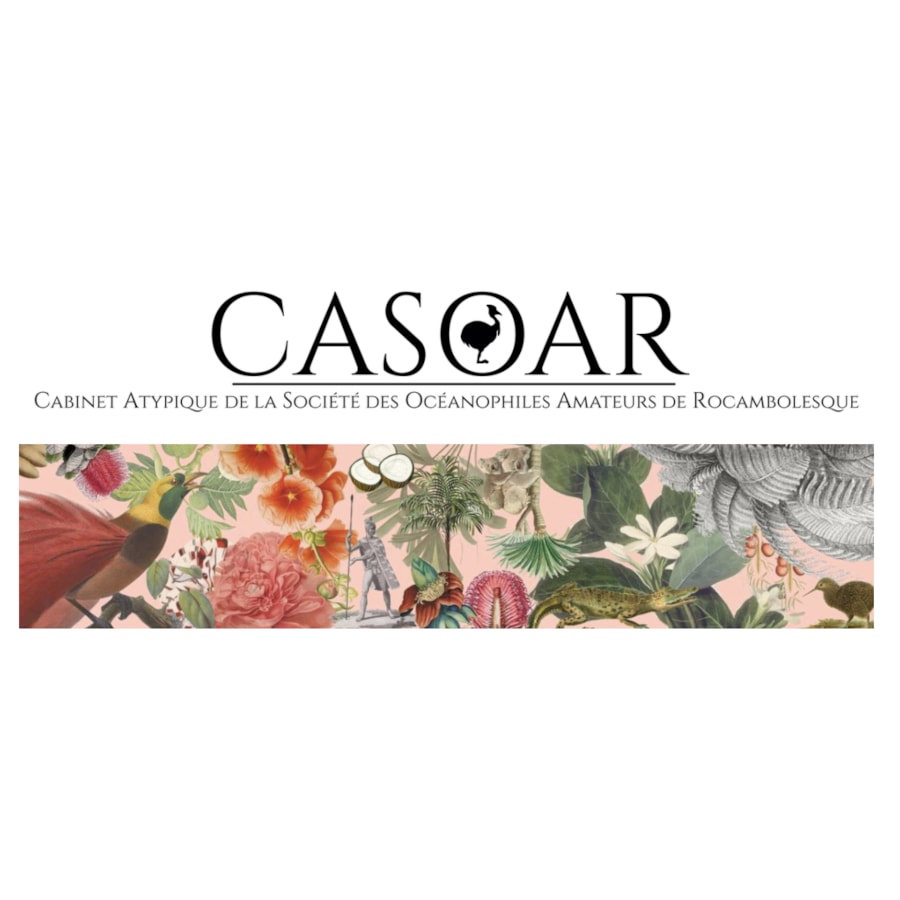 A new web site / blog for Oceanic Art