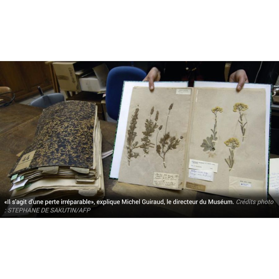 Destruction By Australian Customs of a 200 year old French/Australian "herbier" from Le Have Museum