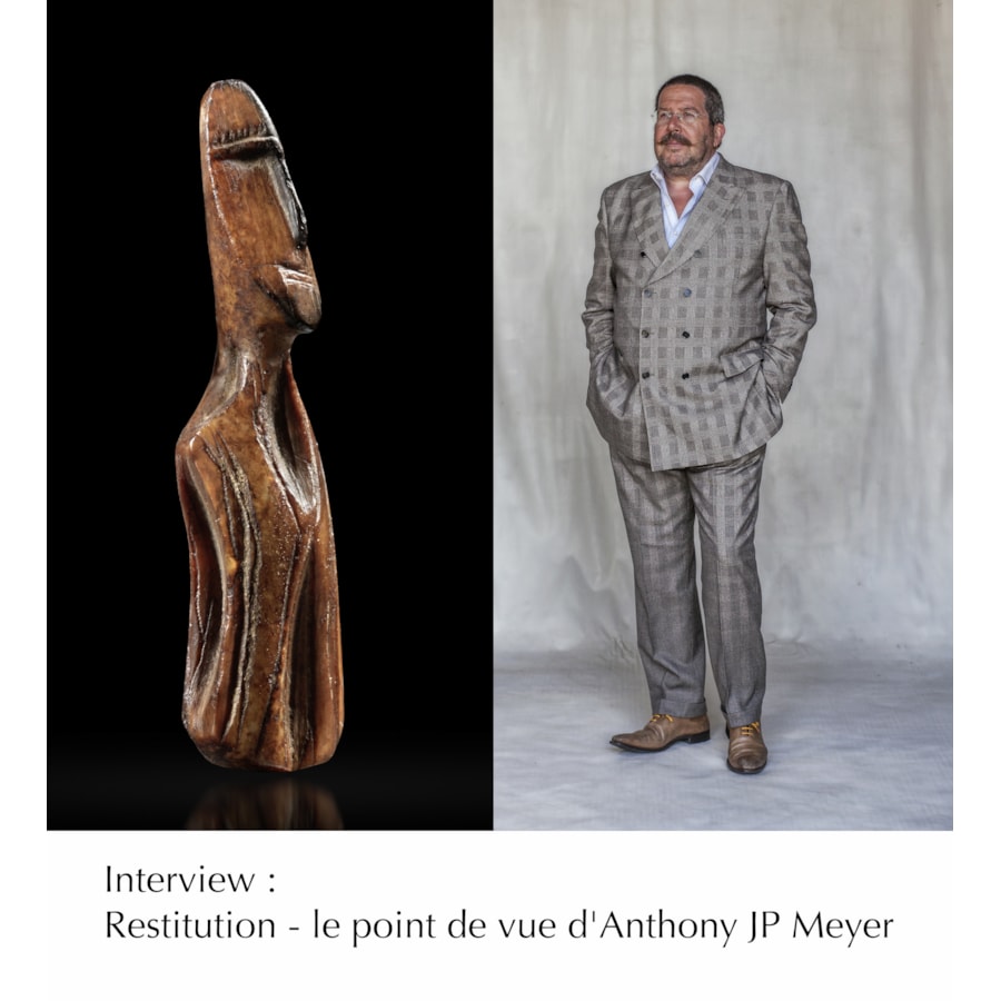 Interview d'Anthony JP Meyer sur la Restitution des oeuvres africaines